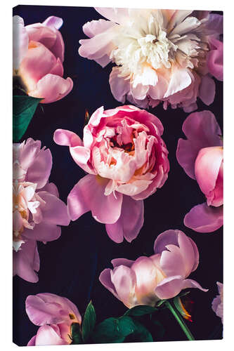 Stampa su tela Light Pink Peonies