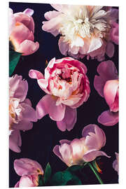 Foam board print Light Pink Peonies