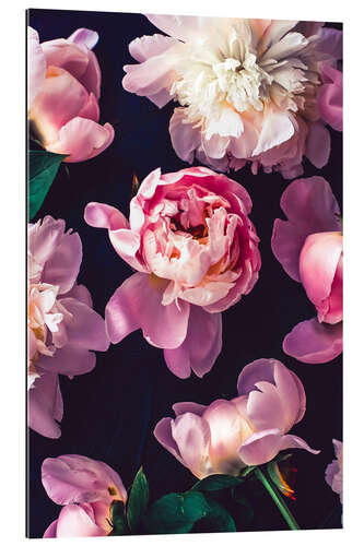 Tableau en plexi-alu Light Pink Peonies