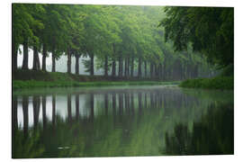 Magnettafel Entspannendes Grün