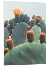 Foam board print Orange Cactus