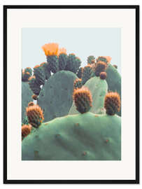 Gerahmter Kunstdruck Orangenkaktus