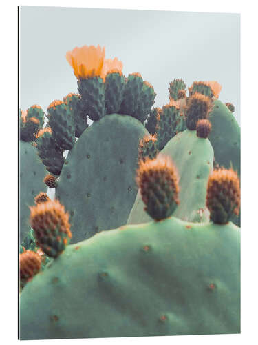 Gallery print Orange Cactus