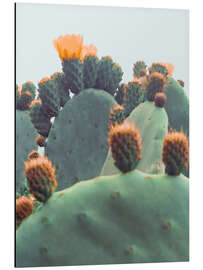 Magnettafel Orangenkaktus