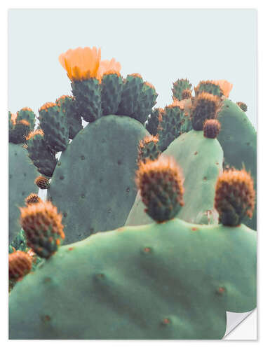 Wall sticker Orange Cactus