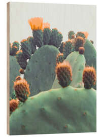 Wood print Orange Cactus