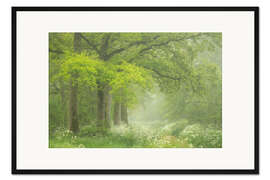 Gerahmter Kunstdruck Frühlingsgrün und Blumen im Wald