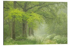 Magnettafel Frühlingsgrün und Blumen im Wald