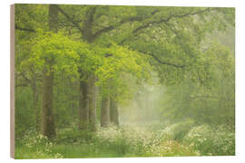 Quadro de madeira Cores e flores de primavera, De Mortelen