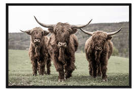 Gerahmter Kunstdruck Drei Hochlandrinder