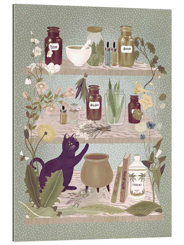 Gallery print Kitchen shelf with medicinal herbs and cat