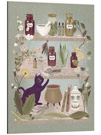 Magnettafel Küchenregal mit Heilkräutern und Katze