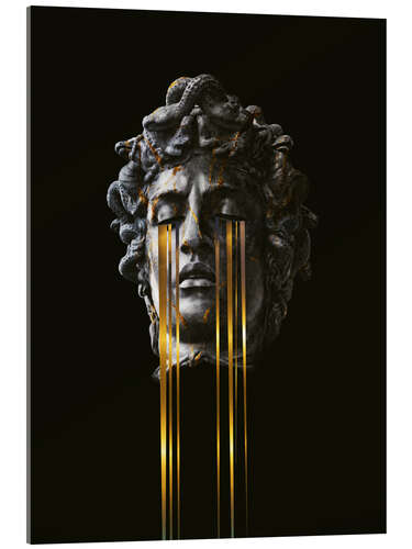 Acrylic print Medusa