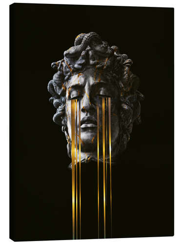 Lærredsbillede Medusa