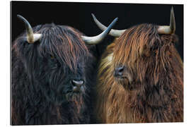 Galleritryck Scottish highland girls