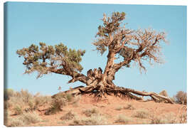 Canvas print American West - Desert Tree