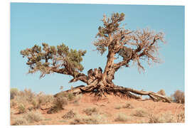 Foam board print American West - Desert Tree