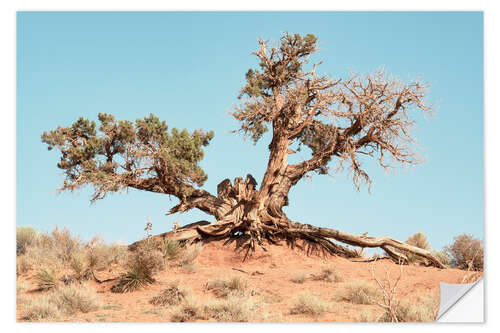 Naklejka na ścianę American West - Desert Tree