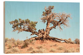 Wood print American West - Desert Tree