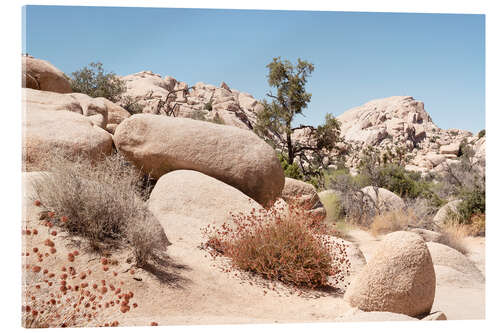 Acrylic print American West - Boulders Rock