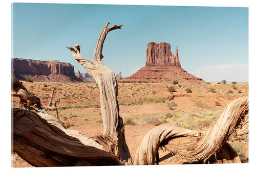 Acrylic print American West - Monument Valley V