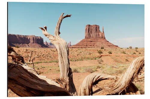 Cuadro de aluminio Oeste americano - Monument Valley V