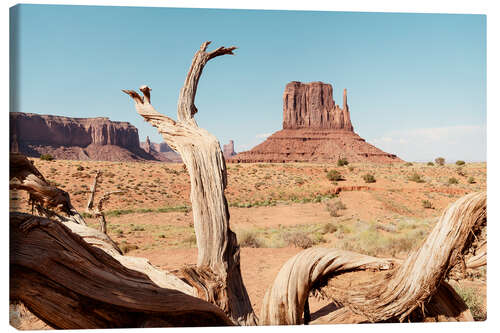 Tableau sur toile Ouest américain - Monument Valley V