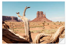 Selvklæbende plakat American West - Monument Valley V