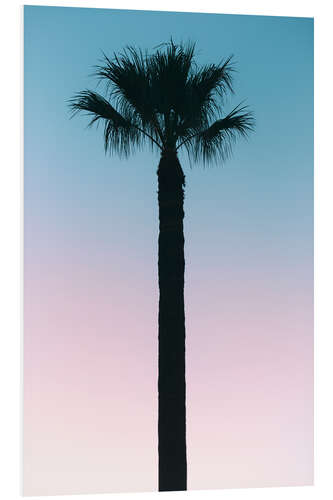 Foam board print American West - Palm Tree Sunset