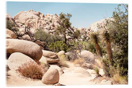 Obraz na szkle akrylowym American West - Boulders Desert