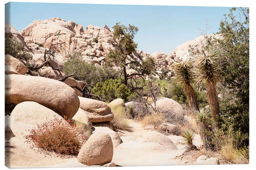 Leinwandbild Amerikanischer Westen - Boulders Desert