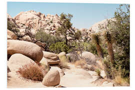 Print på skumplade American West - Boulders Desert