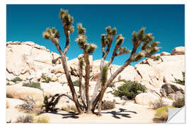 Sticker mural Ouest américain - The Joshua Tree