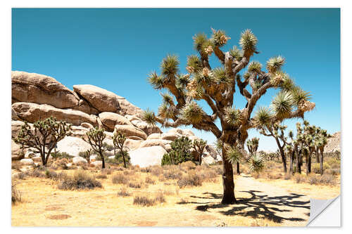 Vinilo para la pared Oeste americano - Parque Nacional Joshua Tree