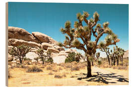 Wood print American West - Joshua Tree National Park