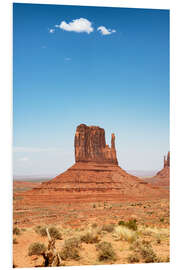 PVC print American West - Awesome Monument Valley