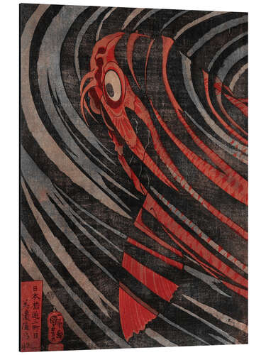 Aluminium print Carp (detail)