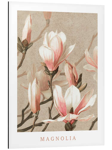 Aluminium print Magnolia