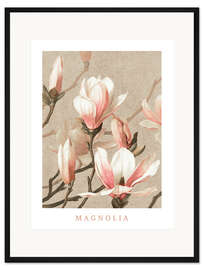 Gerahmter Kunstdruck Magnolia