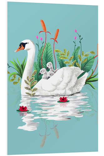 Foam board print Swan family