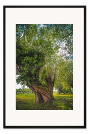 Gerahmter Kunstdruck Zauberbaum