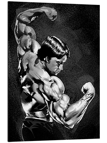 Cuadro de aluminio Arnold Mr. Olympia