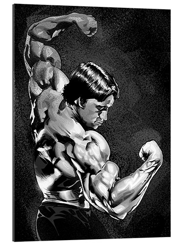 Cuadro de plexi-alu Arnold Mr. Olympia