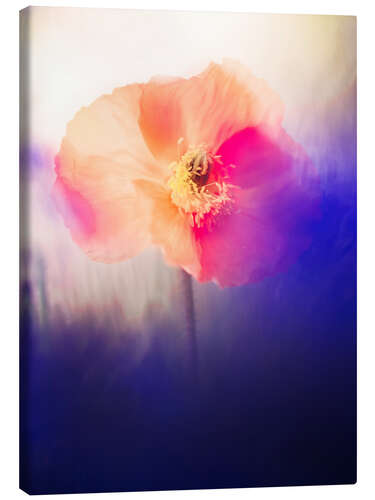 Canvas print Artistic Poppy