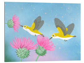 Tableau en plexi-alu Colibris aux chardons