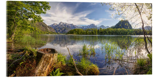 Akrylbilde Sommer ved Almsee