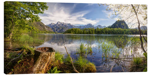 Tableau sur toile Début de l'été à l'Almsee