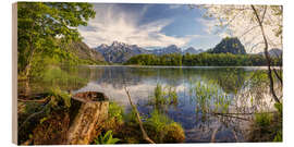 Holzbild Frühsommer am Almsee - Silvio Schoisswohl