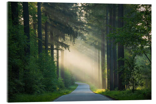 Akrylbillede The road in the forest