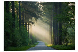 Magnettafel Die Straße im Wald